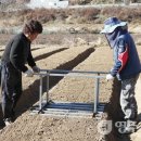 김진철농장 이미지