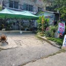 지장산 펜션 민박 이미지