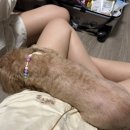 한숲사거리(6단지쪽) 이미지