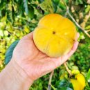 해용농장 이미지