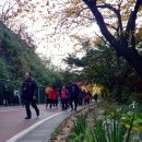 오색단풍의 향연속으로...(남산 둘레길과 서울 등축제) 이미지