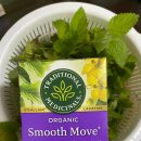 널스메디 이미지