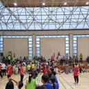 신기K타이거즈 태권도 이미지