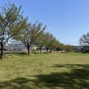 서천멕시칸 이미지