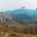 서오리 이미지