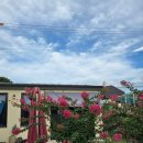 맥금동까페 | 내돈내산 헤이리 숨은 카페 디크레타 방문후기