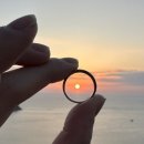 쭈니와비니 이미지