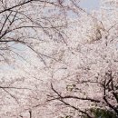 신평동1080 이미지