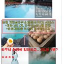 정직한여행