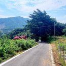 사천1리 마을회관 이미지