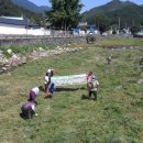 병곡면사무소 이미지