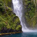 토지무도장 이미지