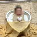 제일 | 초산모의 광명 GM제일 산부인과 자연분만 후기