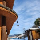 강천산 나비잠 이미지