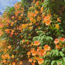 대봉1동행정복지센터 3층 이미지