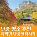 서울시니어스타워(주)인제 | 올해 단풍절정시기 l 단풍 명소 10곳 추천