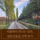 경춘선숲길 | 서울에서 만나는 낭만, 경춘선숲길 산책 후기