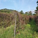 화북초등학교입석분교장 이미지