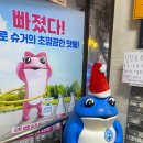 사가정역 | 사가정역 근처 술집 [모모룸] 강추 후기