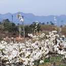 봉암농장 이미지