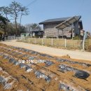 홍성/ 홍성역 5분 277평 귀촌용 주택 2억9천만 이미지