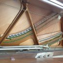 상남동121 이미지