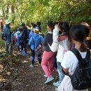 매화초교-1구간 이미지