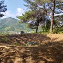 왕자수견태실비 (태봉석비) 이미지