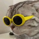 스마일실버의원 | 강남 ㅂㅇㄴ안과 라섹 두달 후기(라섹 꿀팁)