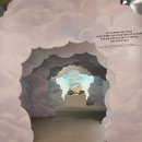 무지개정육점 - 세종특별자치시 다정중앙로 45 | [서울 동대문] 키크니 특별전 솔직후기 / 생각보다 좋았던 이유