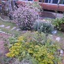 홍예민박 이미지