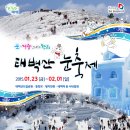 제214차 2015년 01월23일 (금요일) 태백산 천년주목 눈꽃 트래킹 눈축제 이미지