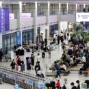 내가 만든 쿠키 이미지