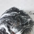 대로약국 | 비듬에 니조랄 샴푸, 약국에서 배운 사용법 대로 써본 후기, 어루러기도도 효과가 있어요