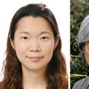변호사김은미법률사무소 - 서초구 서초대로45길 9 | 변호사김은미법률사무소