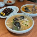 비바돌체(vivadolce) 이미지