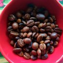 커피콩 이미지