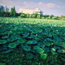 봉담호수공원 이미지