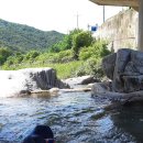 허궁다리 이미지