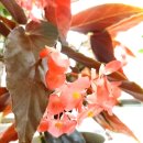 기자 질문에 빡(?)친 윤석열...역질문하기도.. 무슨 일? 이미지