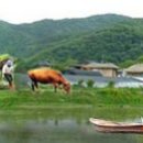 농업회사법인 (유)자연산업 | $$. 매출약간법인/농업회사/지방/자본금1억/설립2021년6월/매매.보류*