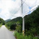 대추나무민박 이미지