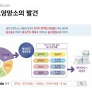 메나테크 비즈니스 그리고 코로나 이후의 삶 #2