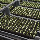 김종길 농장 이미지