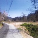 울진온정우체국 이미지