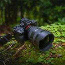 A-7 | 소니 a7M5 실사용 후기｜이제 a7M4는 고민 대상이 아닙니다