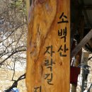 산골산장민박 이미지