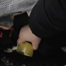 향기로운세탁 | 겟잇클린 향기부스터 프리지아향 사용 후기, 향기가 오래가는 향기로운 세탁템