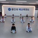 용인대 매교태권도장 이미지