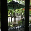 어반포레스트카페 이미지